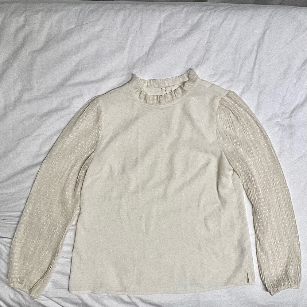Long Sheer Sleeve Top